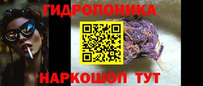 тгк Обь