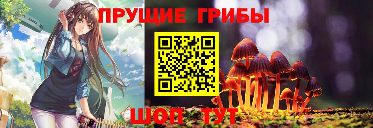 Славгород  Галлюциногенные грибы ЛСД  Вход с VPN 