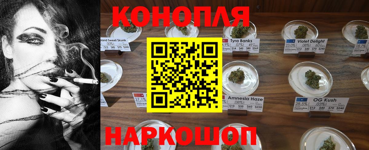 Славгород  Конопля семена  Канабис сатива  Вход с VPN 